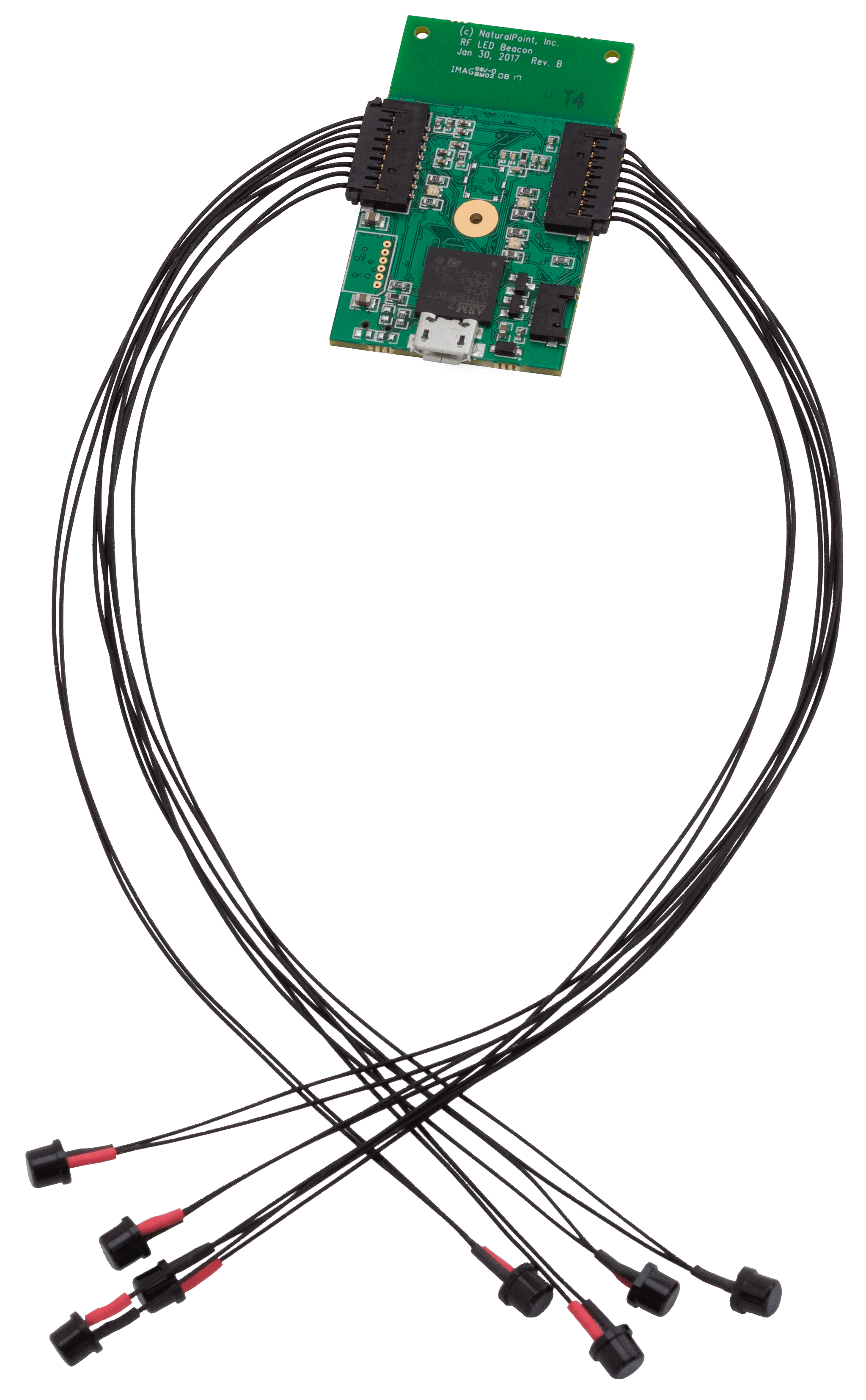 PCB and LEDs (Assembled)